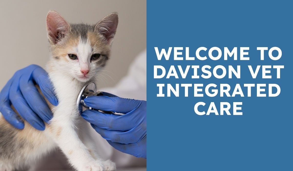 welcome-to-davison-vet-care
