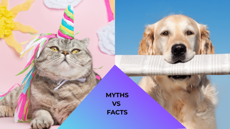 Myths vs Facts About Animal Care